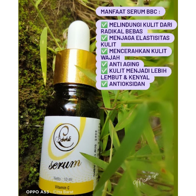 serum bbc