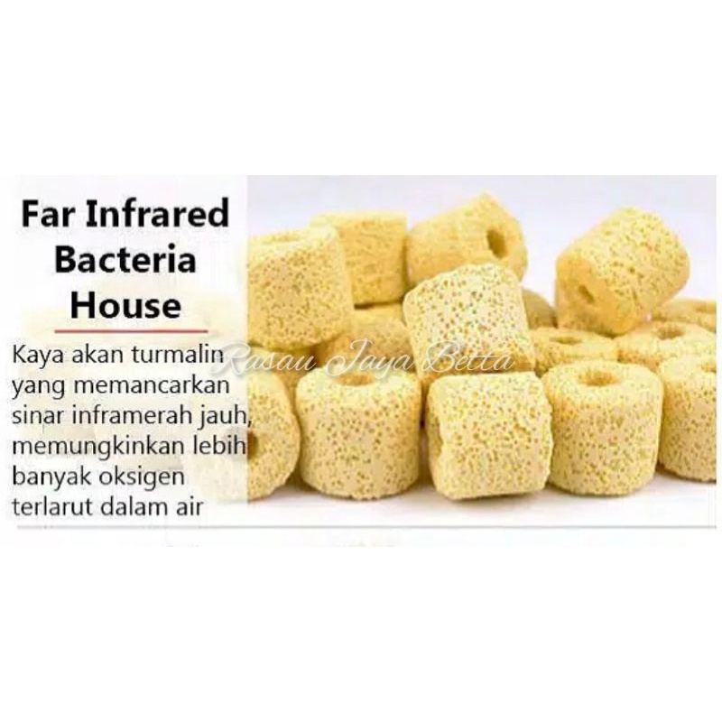 Super Bio Ring Per Pcs