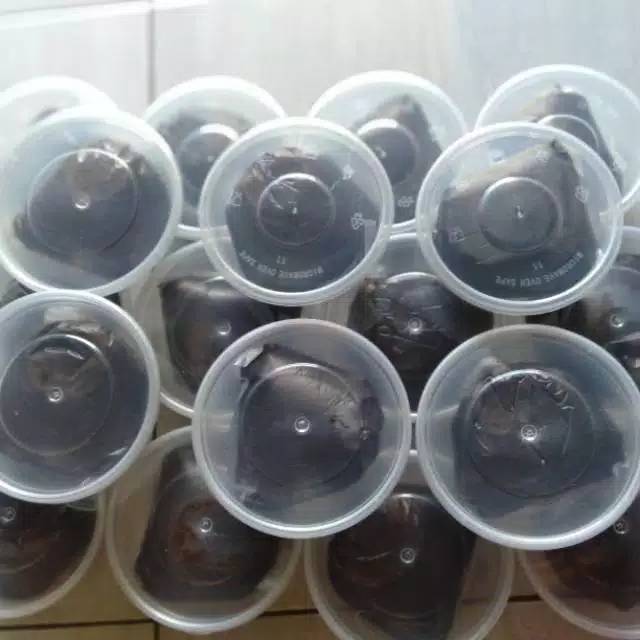 Bedda Lotong 250 gr