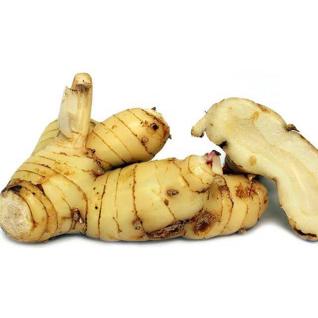 Lengkuas