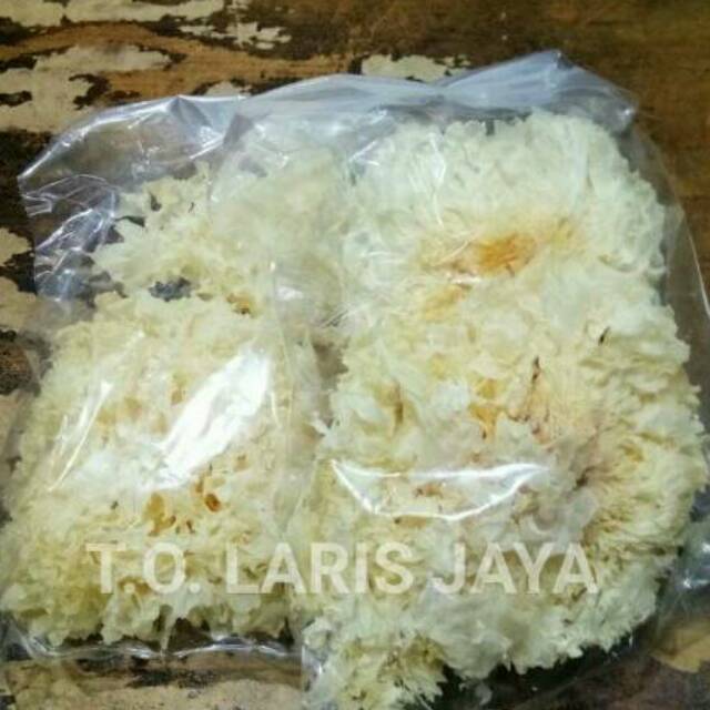 JAMUR PUTIH 40 G