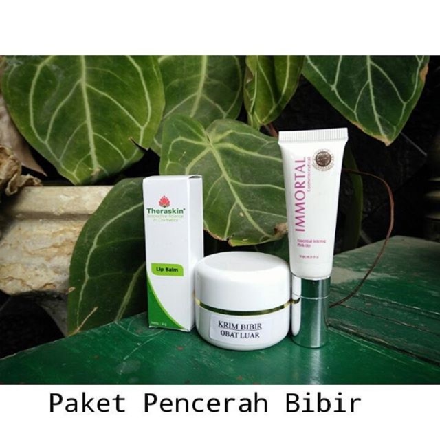 PAKET PENCERAH BIBIR
