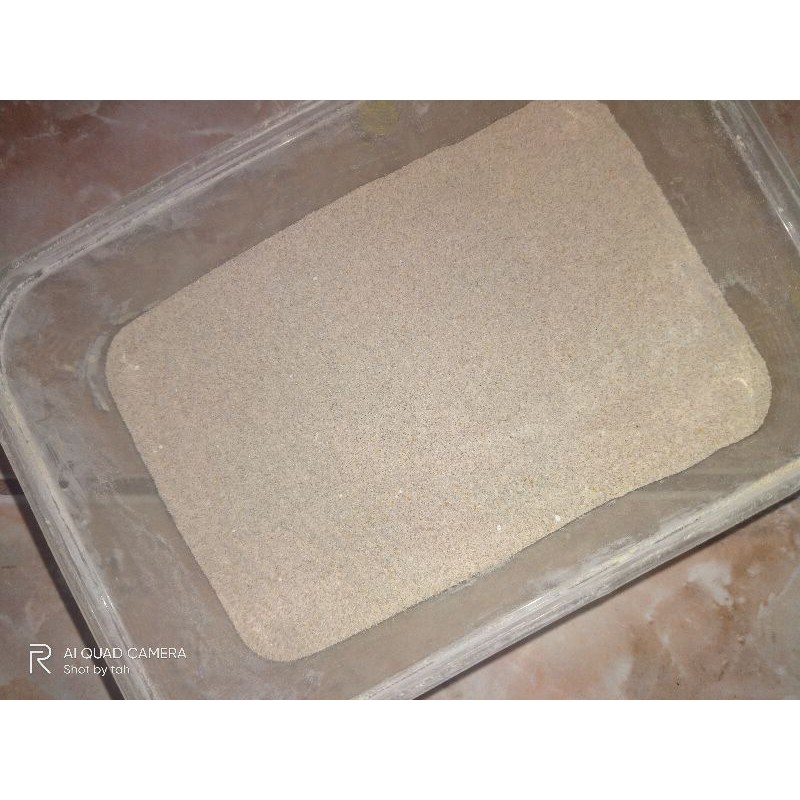 Lulur Badan Kopi