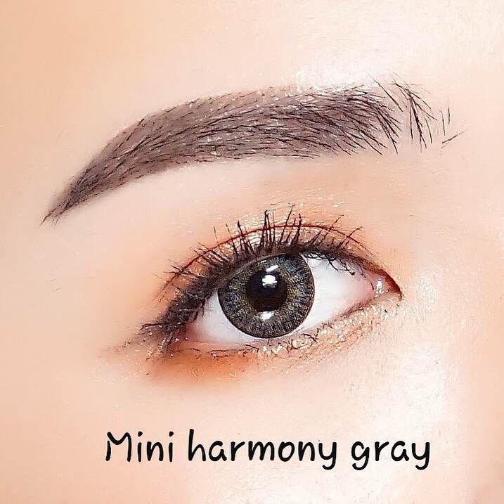 Softlens KittyKawaii MINI HARMONY GRAY / BROWN