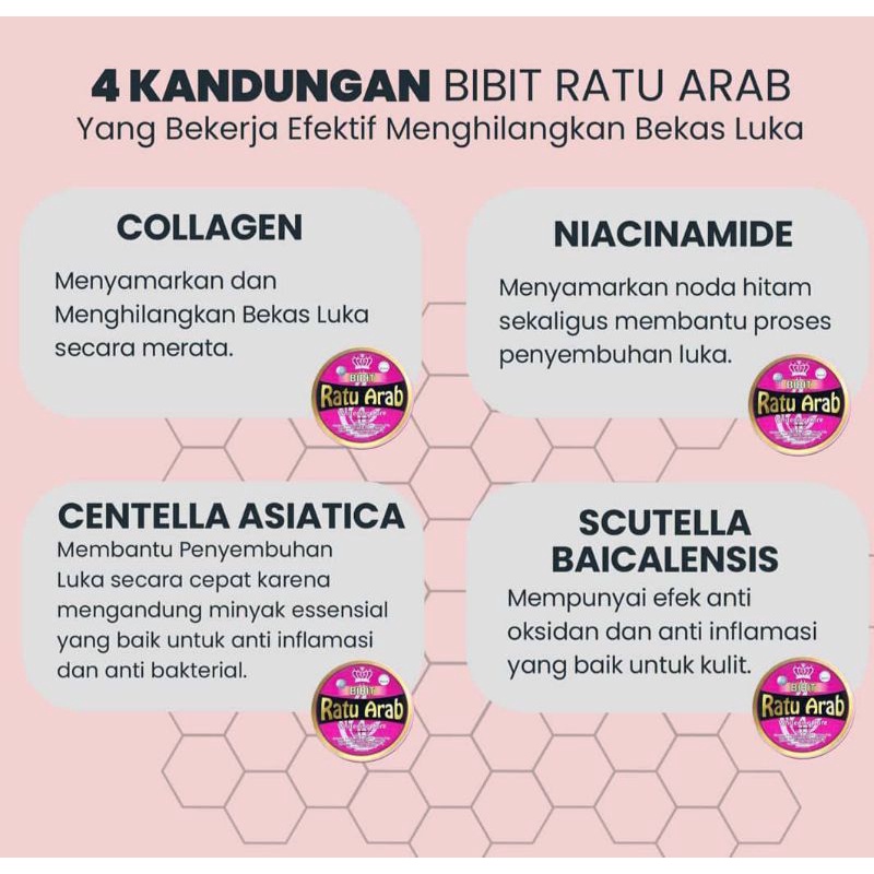 bibit ratu arab