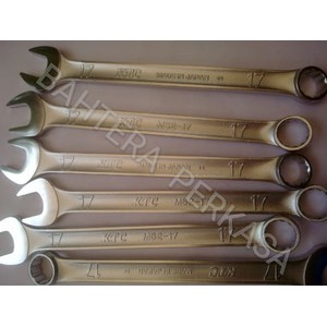 Kunci Ring Pas 19mm KTC