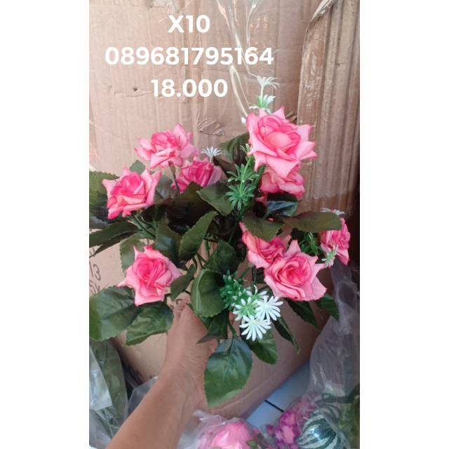Mawar x 10