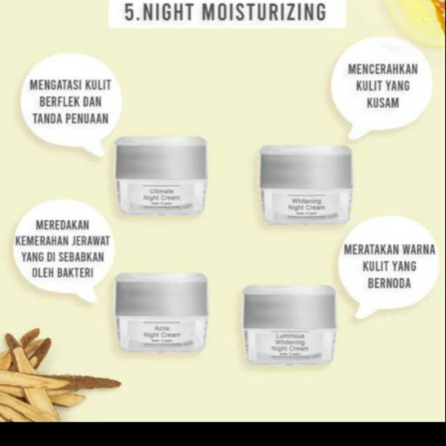 Night cream Msglow