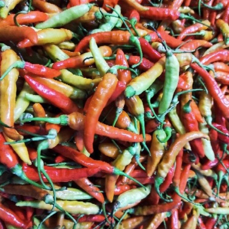 cabe rawet 1kg 80000
