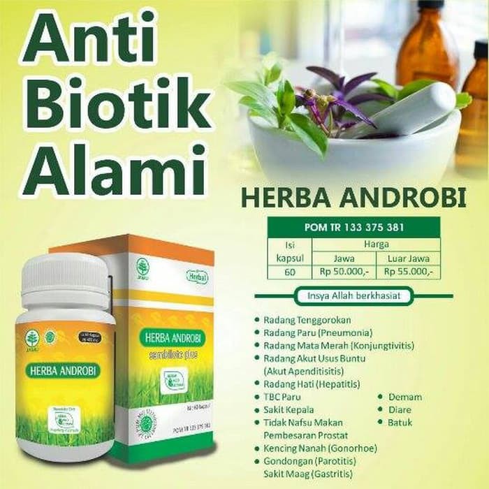 Herba Androbi