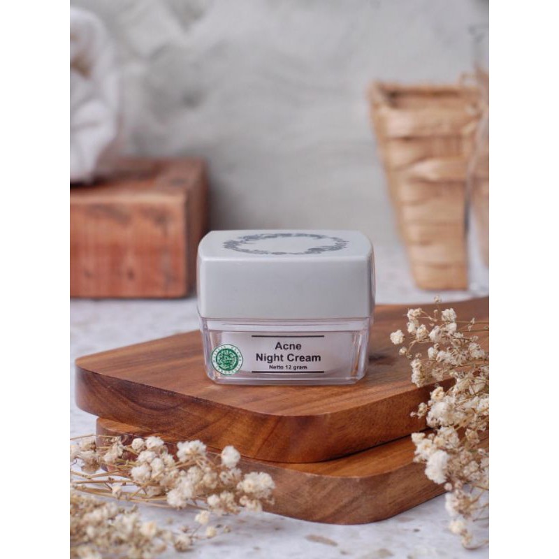 acne night cream ms glow