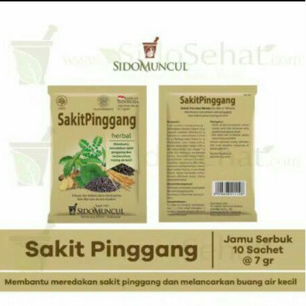 jamu sakit pinggang