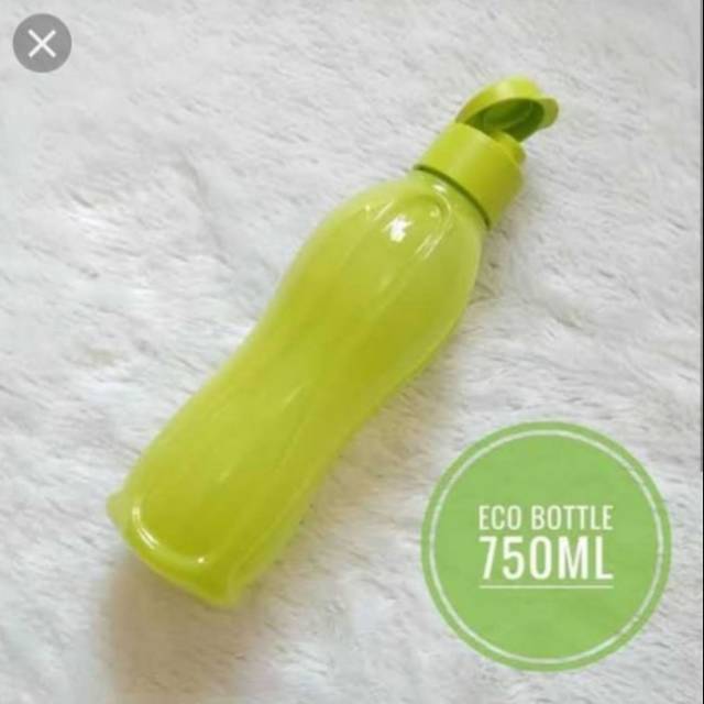 Eco bottle green
