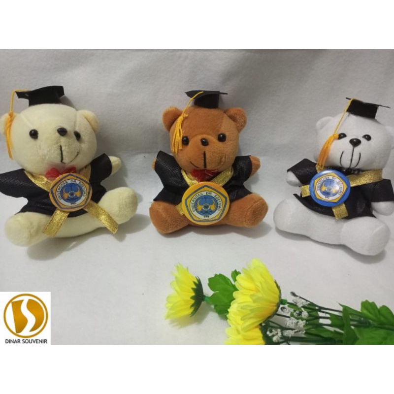 BONEKA BEAR WISUDA UK 15 CM