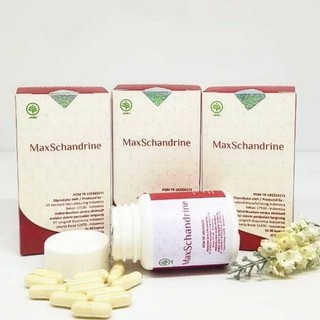 LONGRICH MAX SCHANDRINE