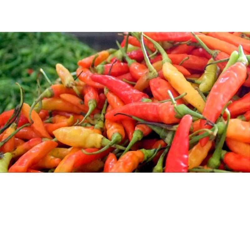 Cabe Rawit tiung Berat 500grm