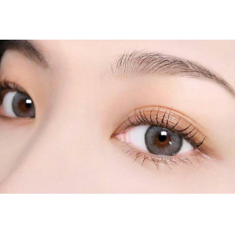 SOFTLENS CURVE IRISHLAB