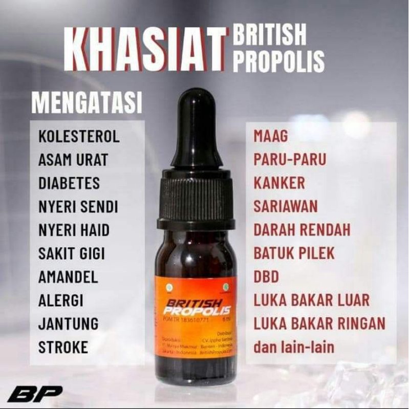 BRITISH PROPOLIS