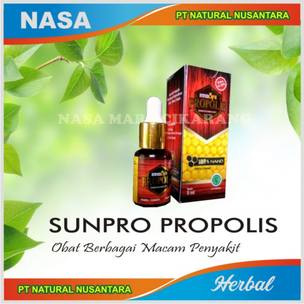 Sunpropolis
