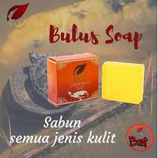 Sabun Bulus