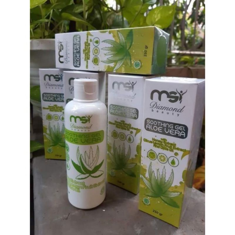 alover gel MSI original