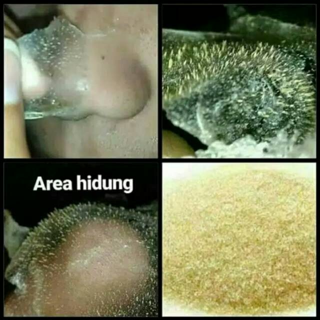GELATIN SAPI