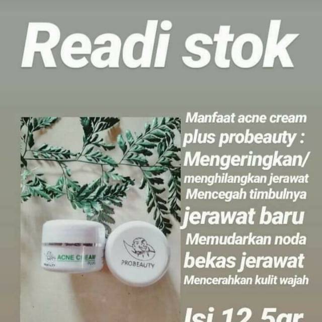 PROBEAUTY acne night plus