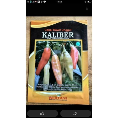 KALIBER