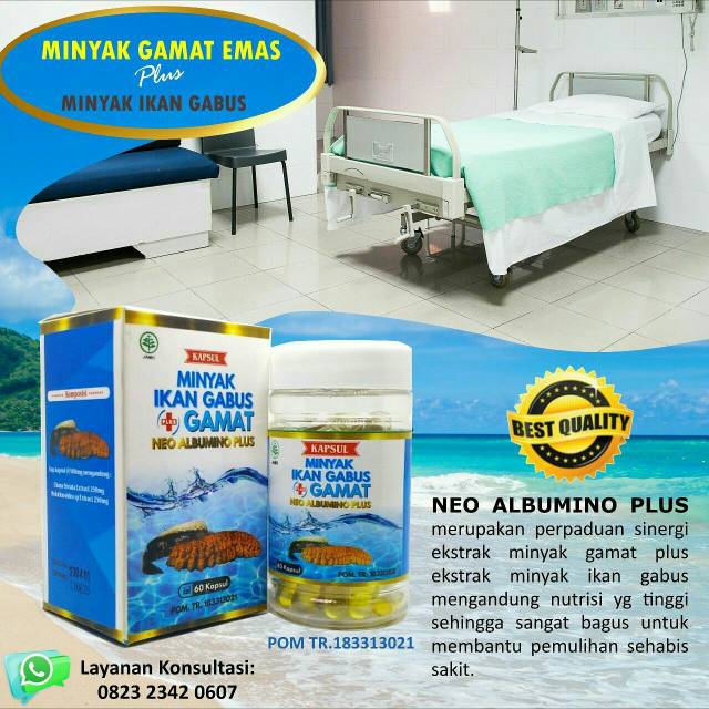 Minyak Ikan Gabus plus Gamat