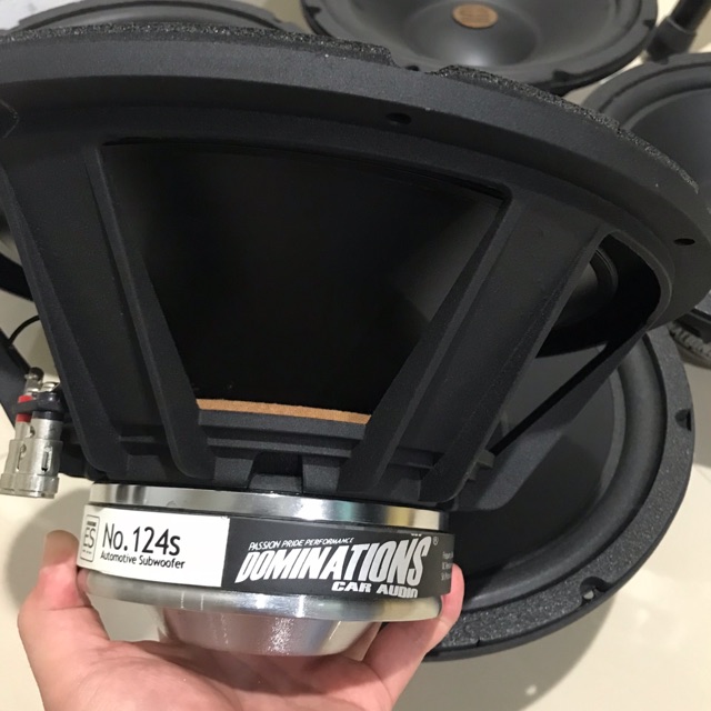 Subwoofer domination es 124