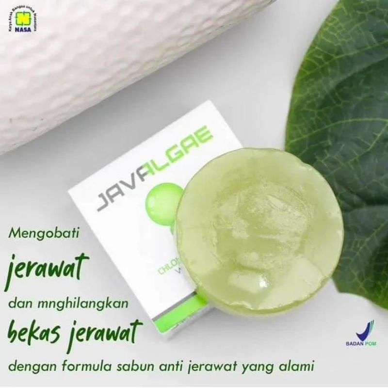 JAVALGAE Nasa