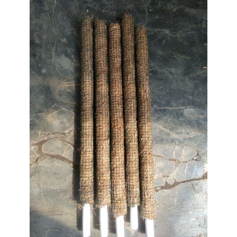 Turus (Rambatan Tanaman)