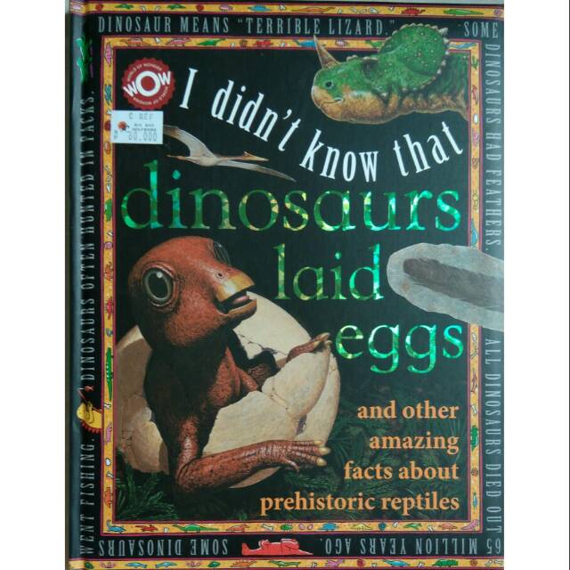 Dinosaurs Laid Eggs