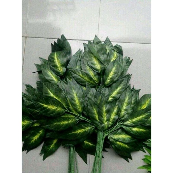 ANEKA DAUN-DAUN /lusin