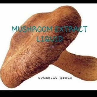 Mushrom Extract Liquid 20 ml / Cosmetic Grade -