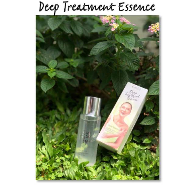 Deep treatment essence