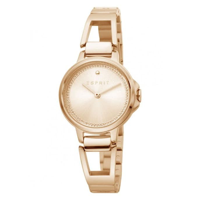 Jam Tangan Esprit ES1L146M0075