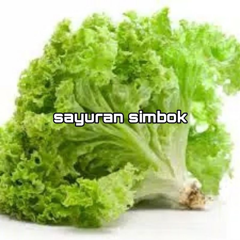 Selada Keriting 500 gram