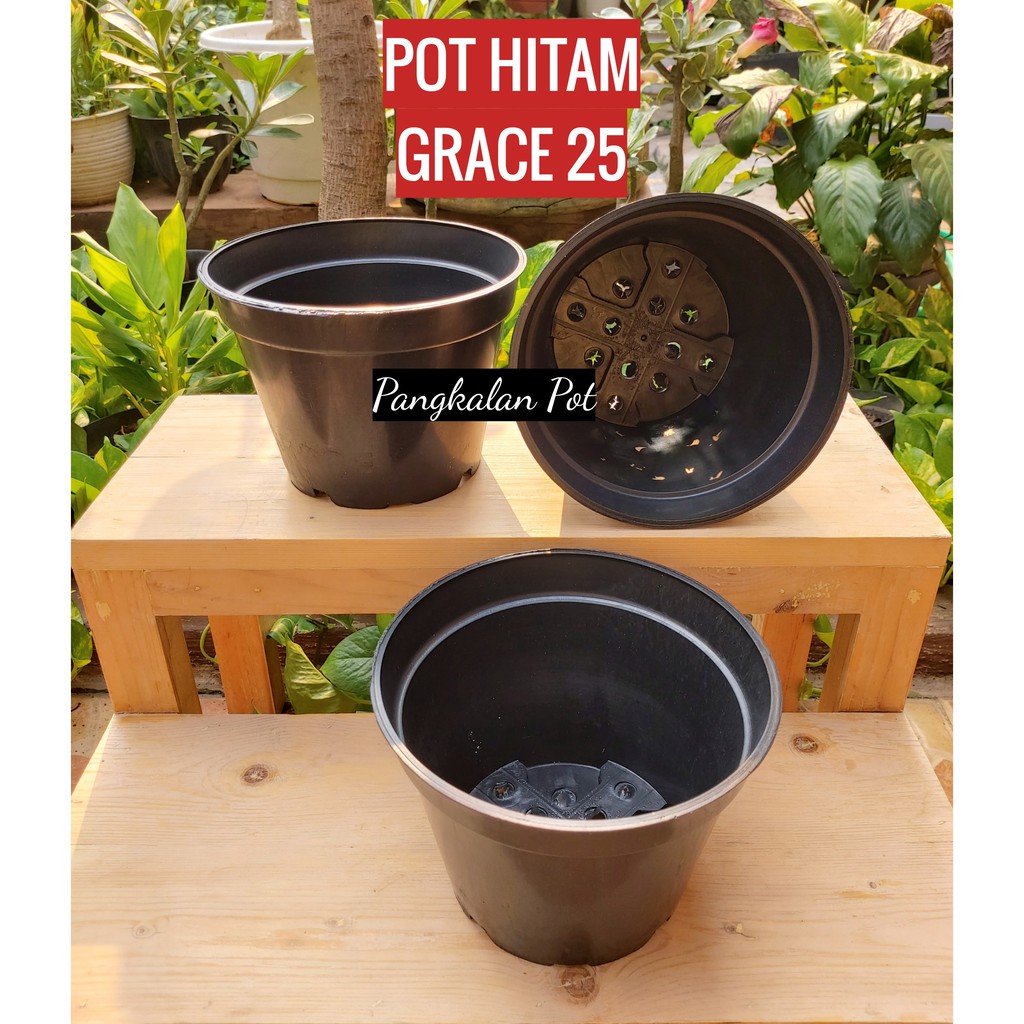 POT HITAM GRACE 25