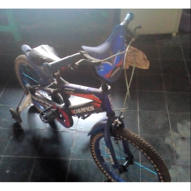 Sepeda mini