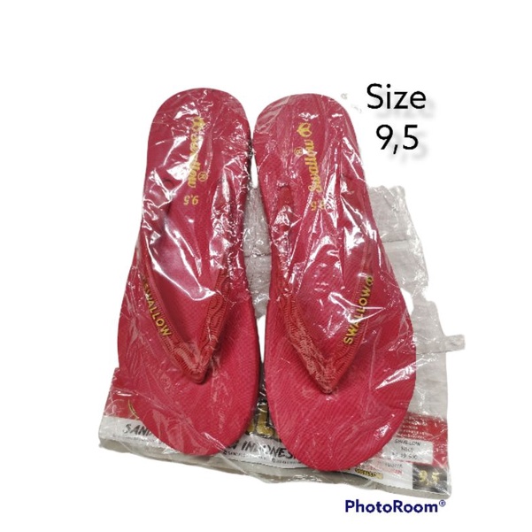 Sandal Swallow