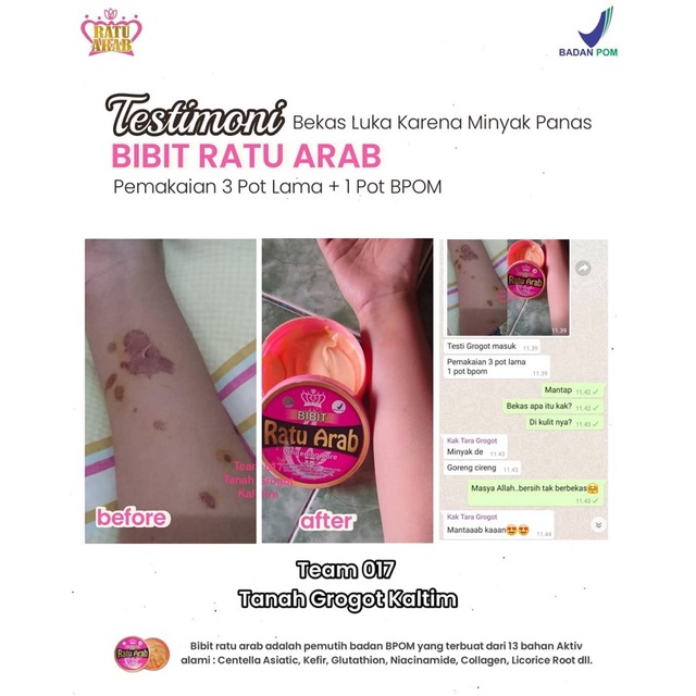 Bibit Ratu Arab Original