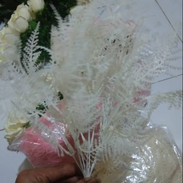 PAKIS GRUF WARNA