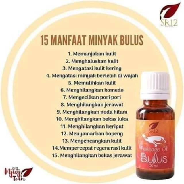 Tidak berbau amis minyak bulus SR12
