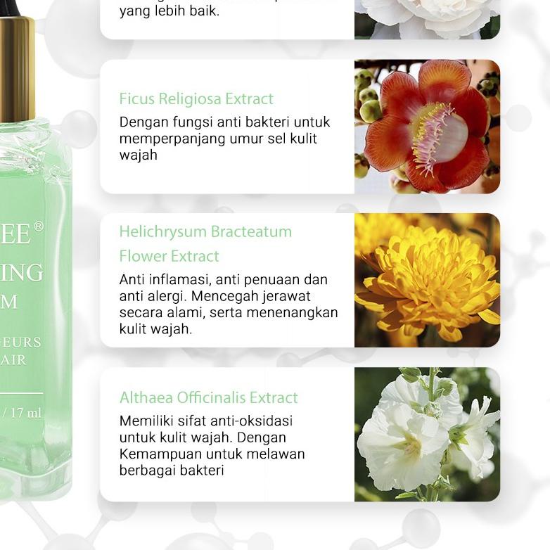 ✤ BREYLEE Serum Wajah - 17ml ♠