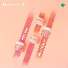 HANASUI PERFECT CHEECK BLUSH & GO