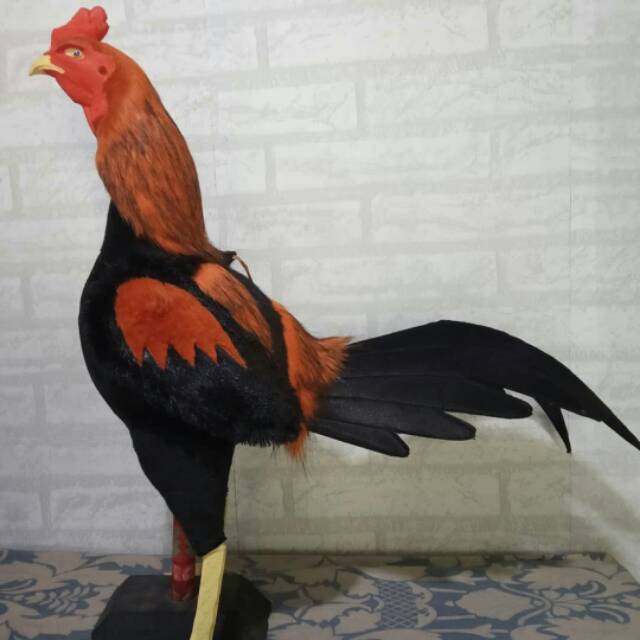 Boneka full body