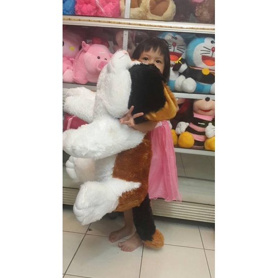 Boneka Kucing Jumbo
