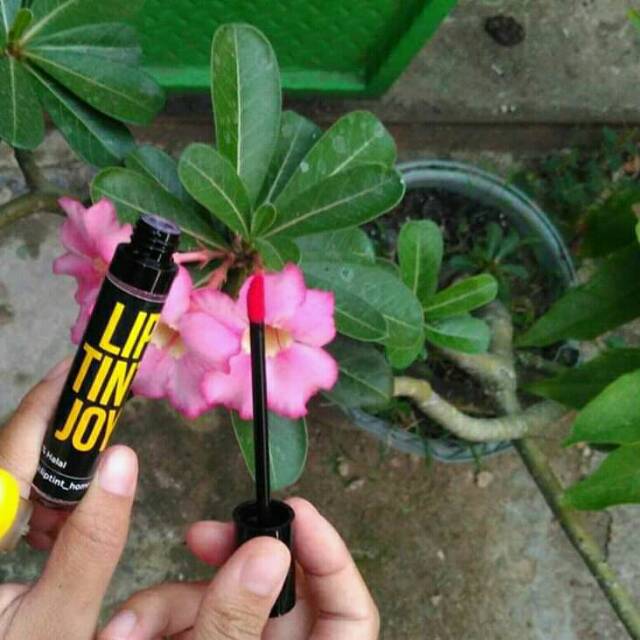 Liptint Joy By Khayla