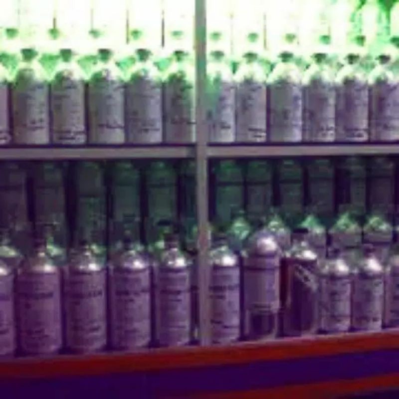 CANDY / FRUIT - APPLE GREEN